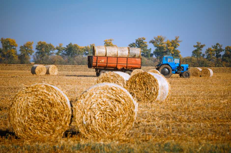 article bail à ferme